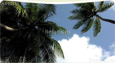 Club Rannalhi 2